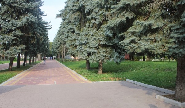Атажукинский Парк Фото